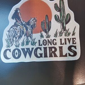 Cowgirl Themed Laptop Case - Black and Orange